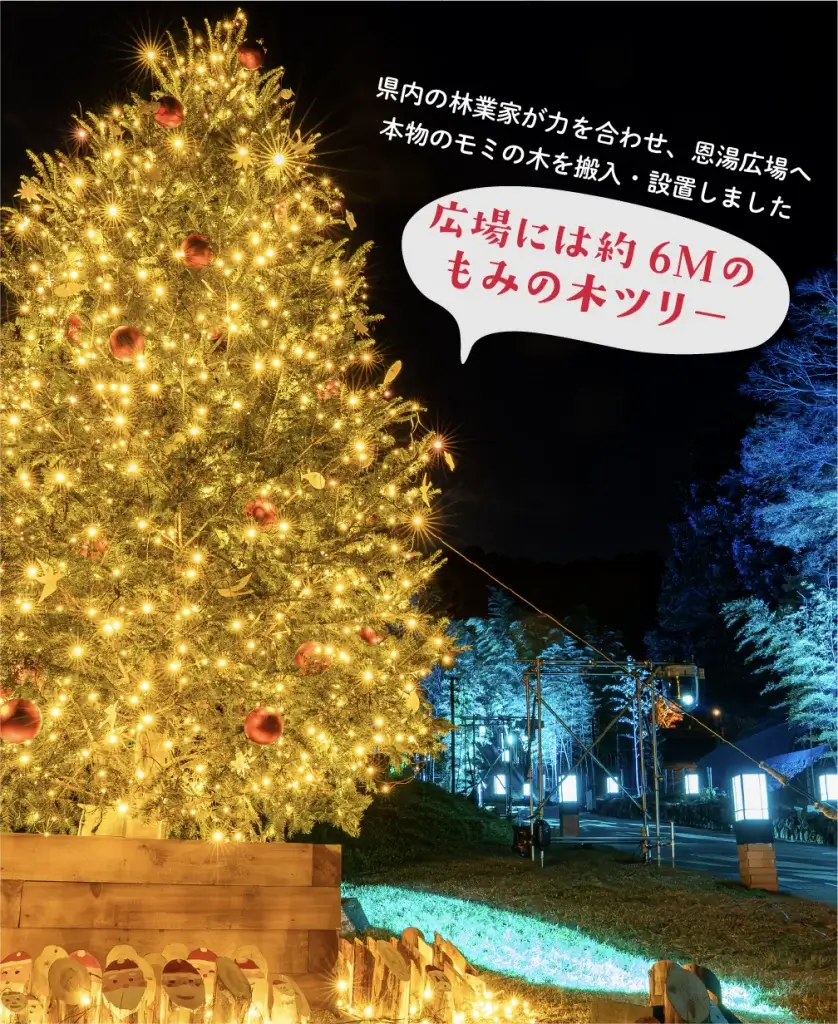 うたあかりノエル2025 - 音信川うたあかり公式サイト